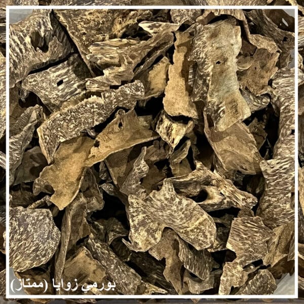 بخور بورمي زوايا ممتاز Bormi angels AA